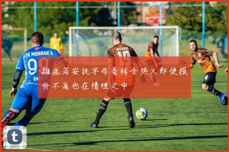 雄鹿若安抚字母哥转会热火即使报价不高也在情理之中